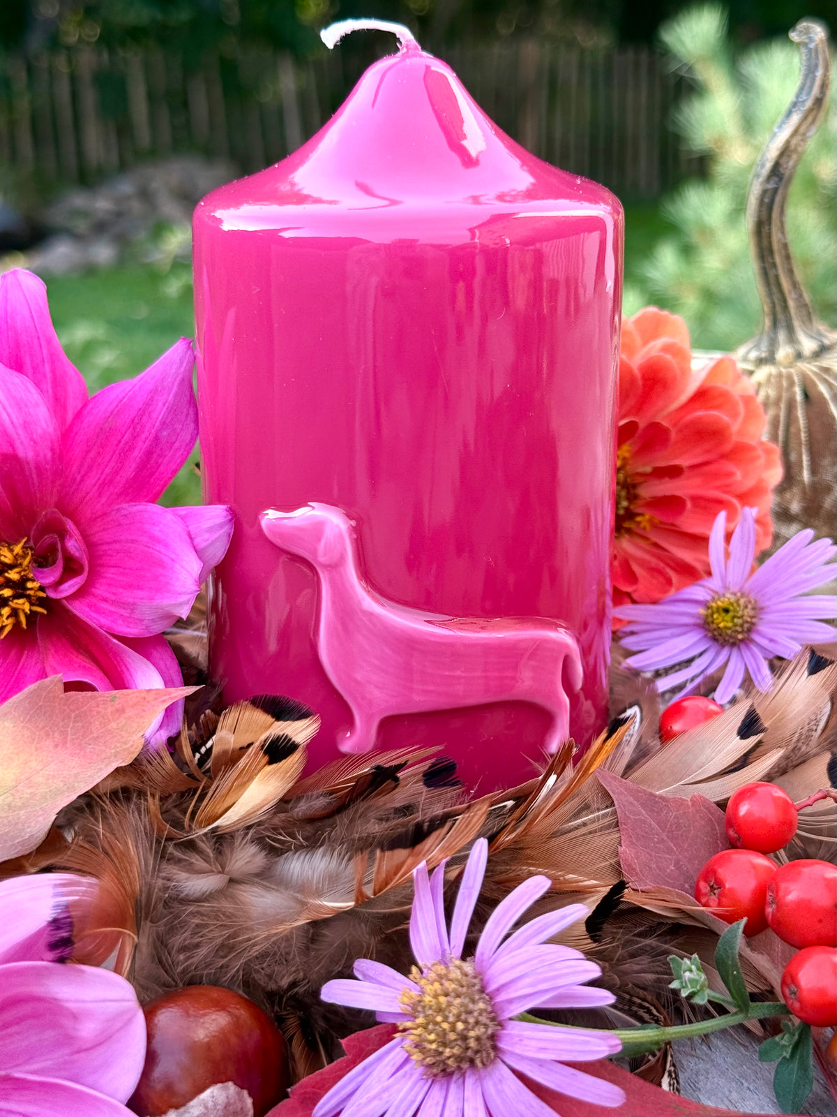 Dackel - Lackkerze Pink