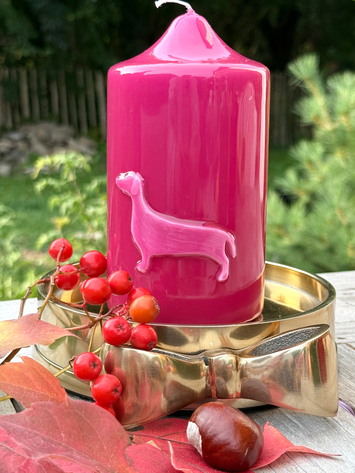 Dackel - Lackkerze Pink