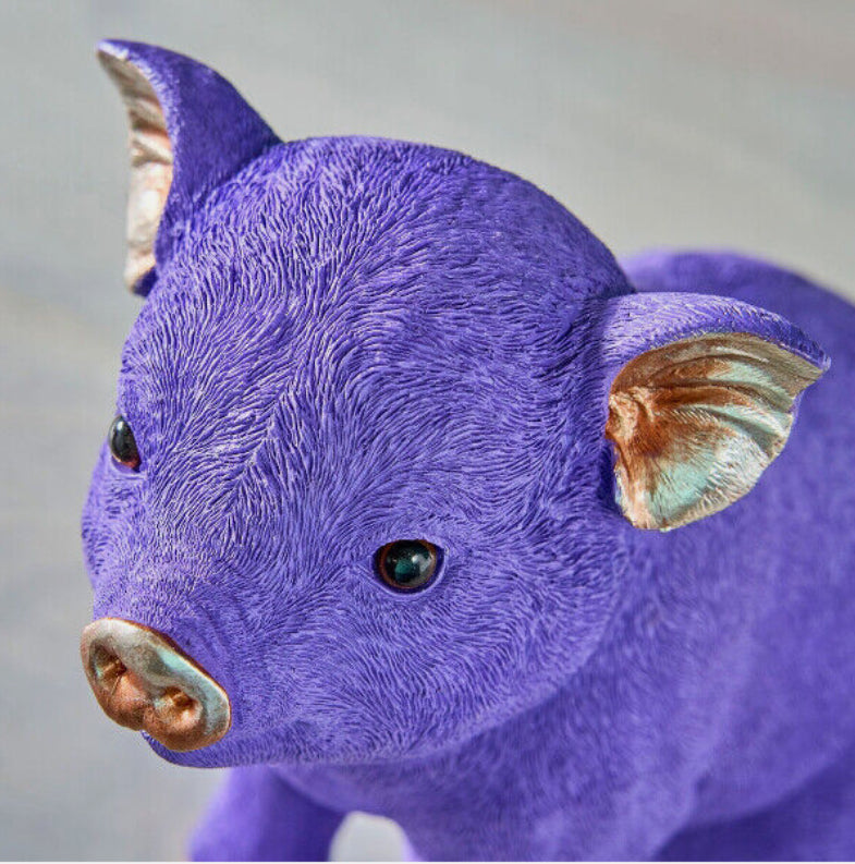 Sparschwein - Lila