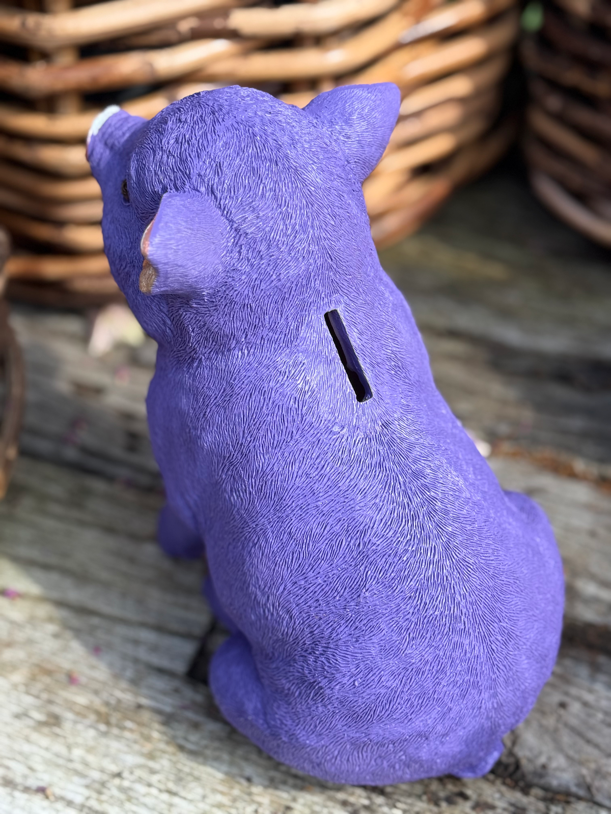 Sparschwein - Lila
