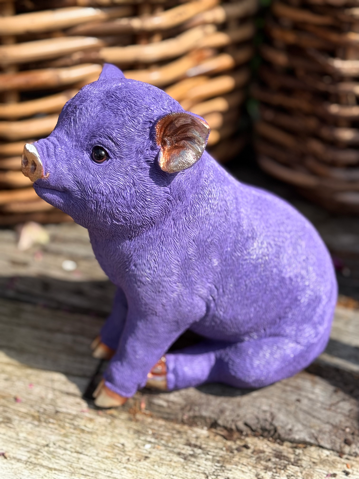 Sparschwein - Lila