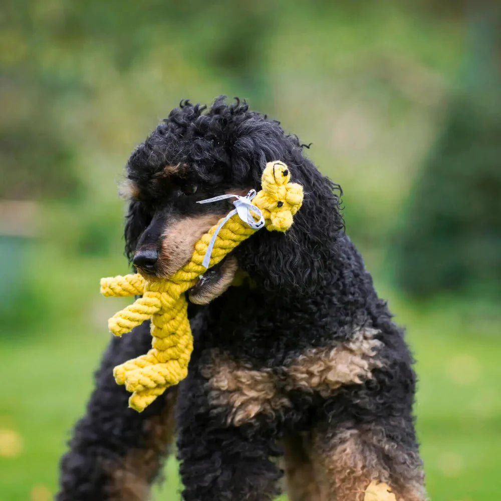 Hundespielzeug - Giraffe Gretchen